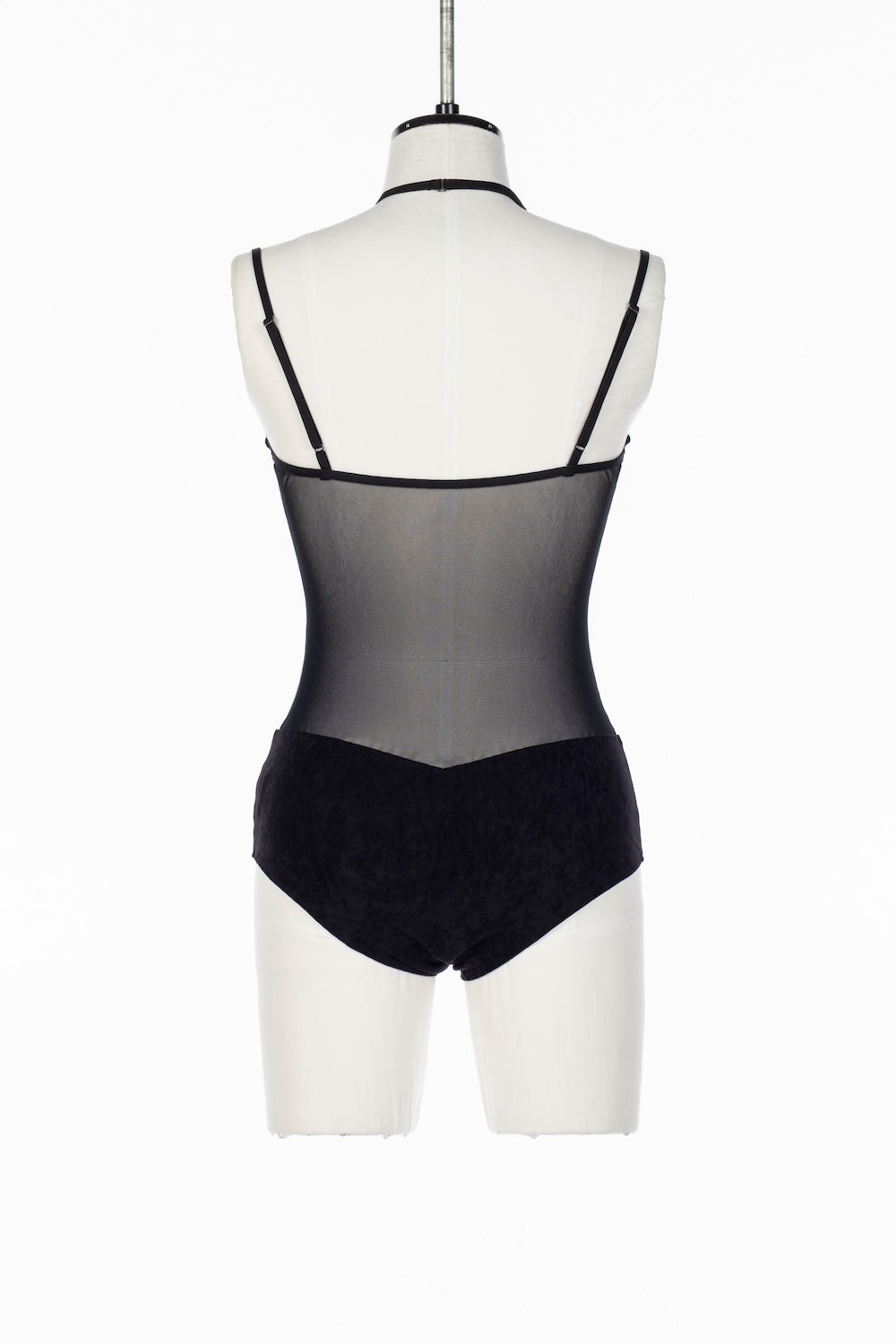 SHEER PANELED VELOUR BODYSUIT - FETICO