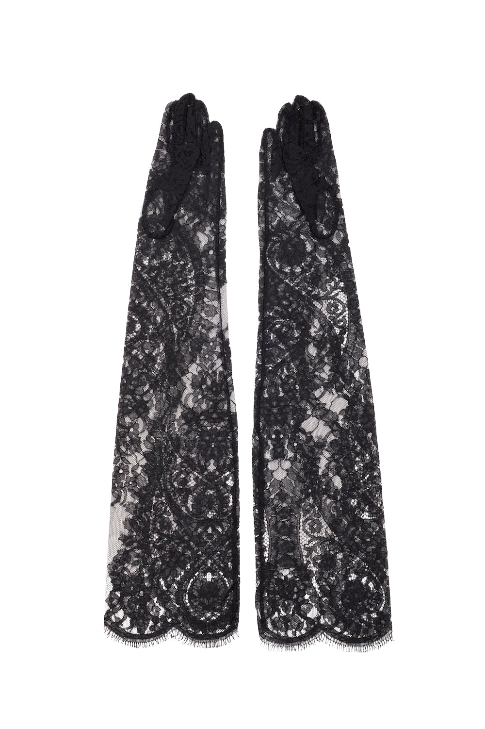 LONG LACE GLOVES – FETICO Official Online Shop